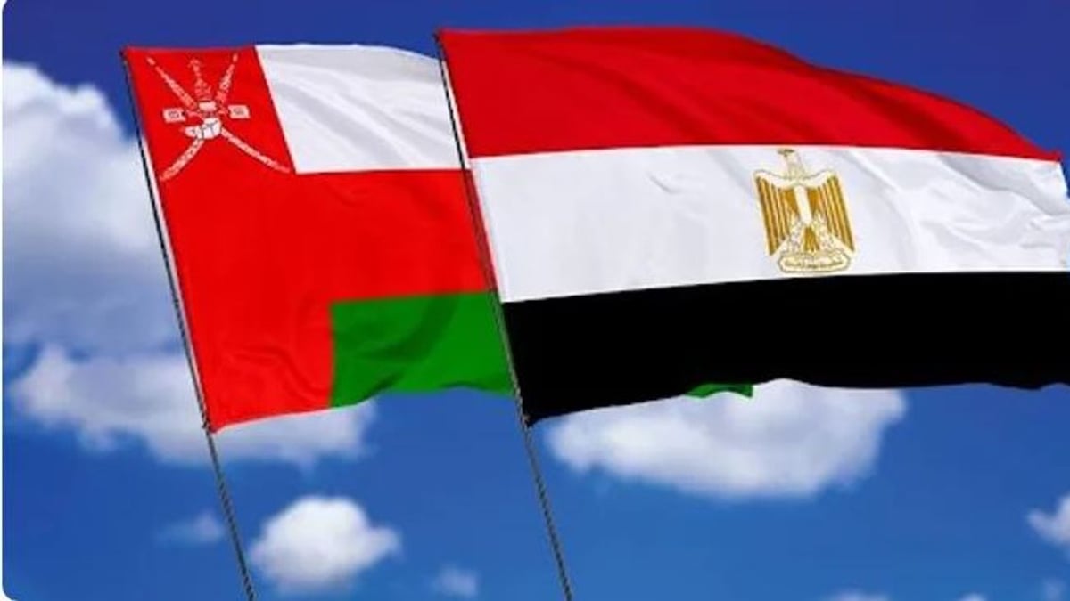 وزير الخارجية المصري يبحث هاتفيًا مع نظيره العُماني التطورات الإقليمية