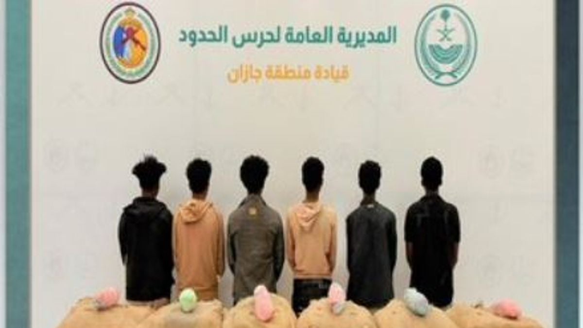 القبض على 6 إثيوبيين لتهريبهم القات بجازان.. وإحباط تهريب 12 كيلوجرامًا من الحشيش وأقراص مخدرة