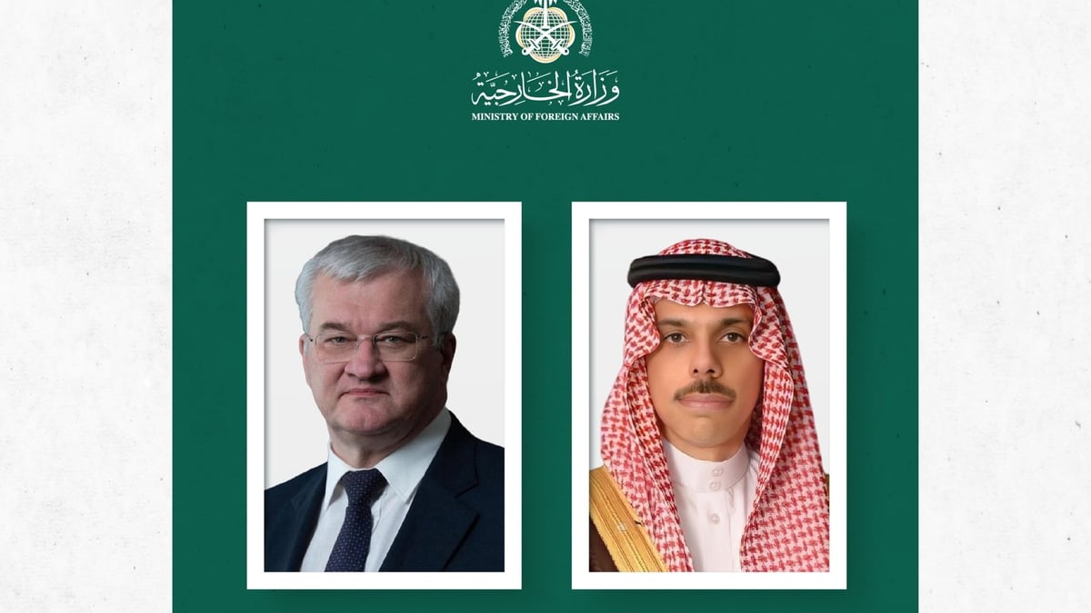 وزير الخارجية ونظيره الأوكراني يبحثان العلاقات الثنائية بين البلدين والمستجدات الإقليمية