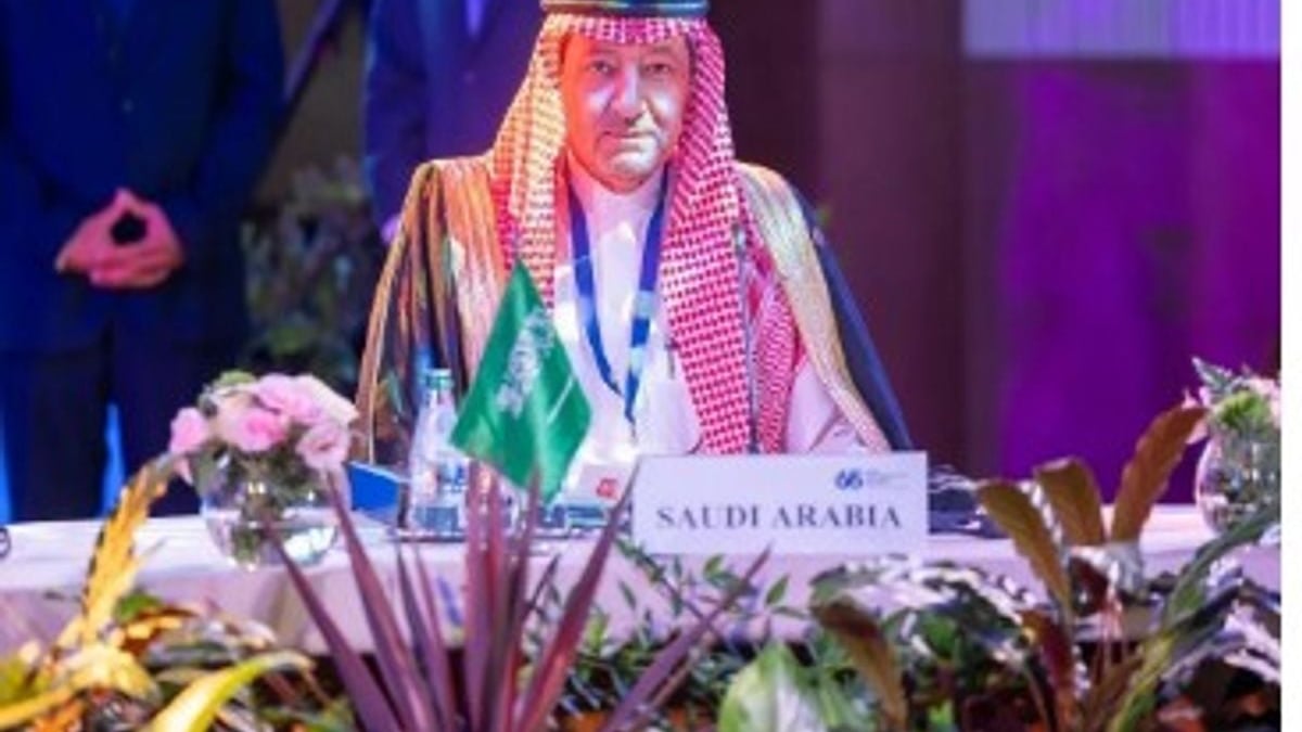 Saudi deputy foreign minister at Non-Aligned Movement meeting in Serbia