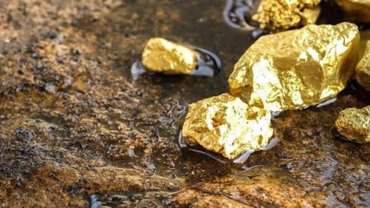 الجيش المصري يواصل حملة مكافحة التنقيب عن الذهب ويحذر من شائعات تستهدف العلاقات مع السودان