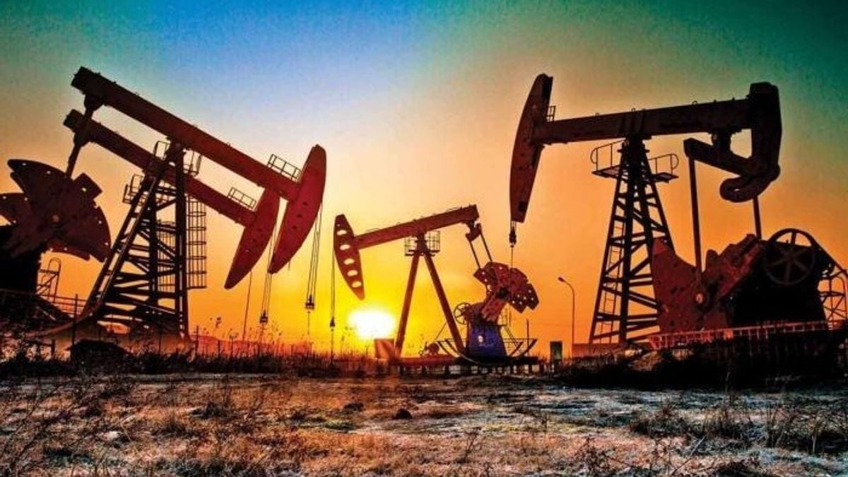 مختص في الطاقة: الدور السعودي أسهم في استقرار أسواق النفط وتعزيز أمن الطاقة العالمي