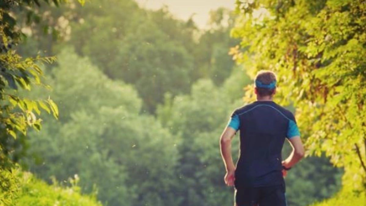 30 minutes of daily activity may cut cancer risk by 31% — Ajel English