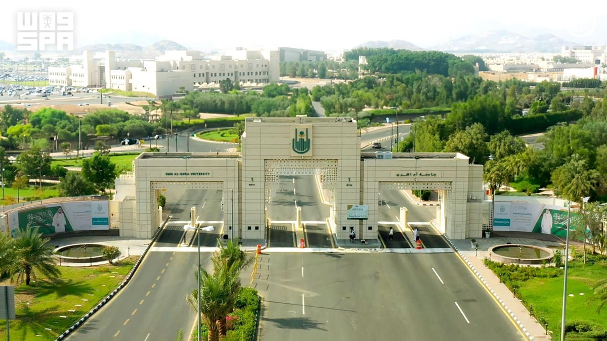 Short Program Example Umm Al-Qura University launches 13 short skill programs — Ajel English