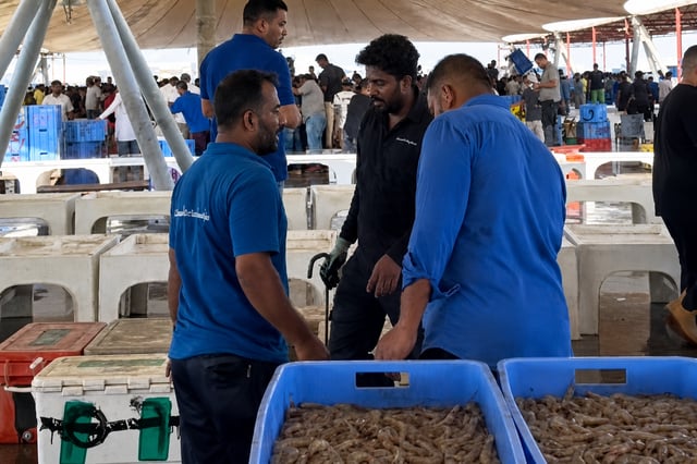 الروبيان يصل أسواق الشرقية بأسعار تتجاوز الأعوام الماضية