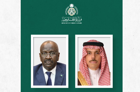 وزير الخارجية يبحث المستجدات مع نظيره الموريتاني