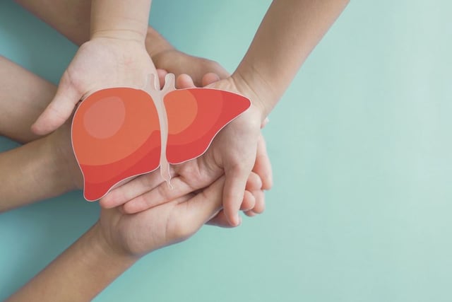 دراسة: النظام الكيتوني يحقق أفضل النتائج بتحسين حساسية الكبد للأنسولين