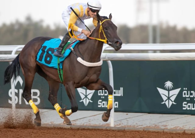 غدا.. انطلاق الأسبوع السابع من سباقات الخيل بالطائف بجوائز تتجاوز 1.7 مليون ريال