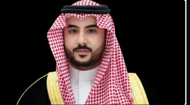 وزير الدفاع يبحث هاتفياً مع نظيرته الفرنسية التعاون الدفاعي والتحديات الإقليمية