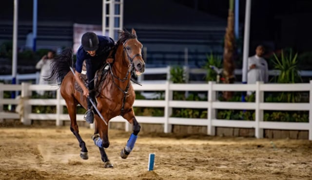 مرابط الخيل في الطائف.. تجربة تعيد تقديم الفروسية للسياح