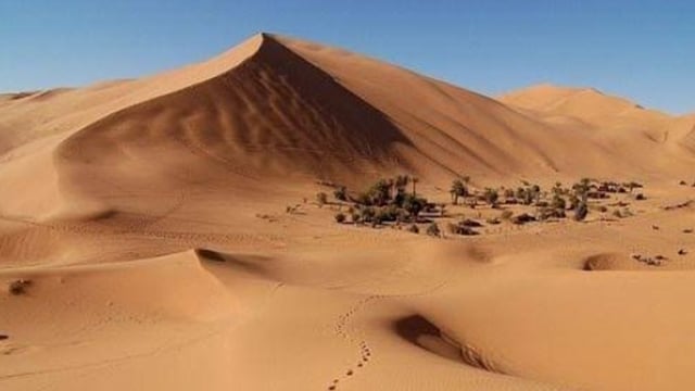 الكثبان الرملية في «خب سحا».. لوحات تجسد جمال الصحراء السعودية