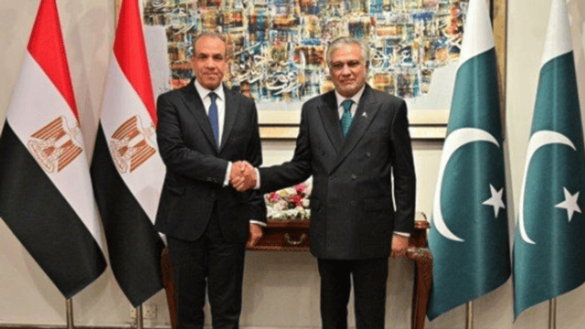 وزيرا خارجية مصر وباكستان يبحثان هاتفيًا التطورات الإقليمية