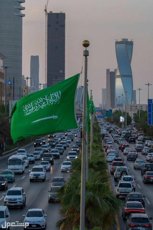 المملكة تؤكد دعمها الثابت للأونروا وتدعو لسد فجوة التمويل لضمان خدمات اللاجئين