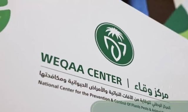 مركز وقاء يطلق حملة تحصين الحيوانات الأليفة ضد السعار بمكة المكرمة