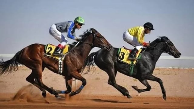 ميدان فروسية الباحة يدشن اليوم أولى سباقات الخيل