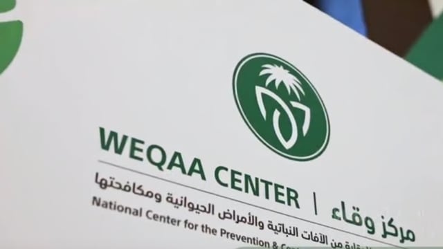 «وقاء» يعزز الصحة الحيوانية والأمن الحيوي خلال موسم سباقات الخيل بالطائف