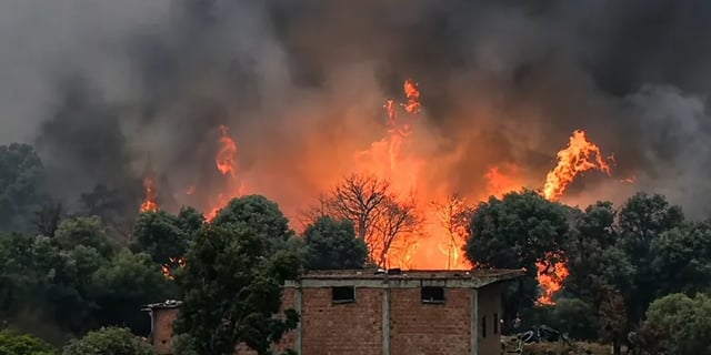 ارتفاع حصيلة ضحايا حرائق الغابات في الجزائر إلى 73 شخصًا
