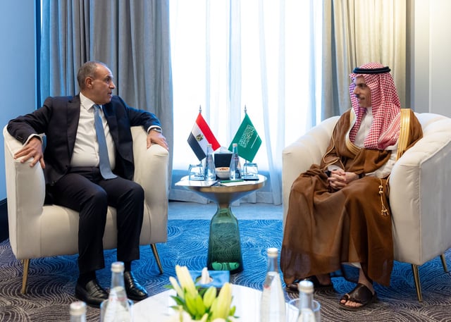 وزير الخارجية يستعرض مجالات التعاون ومستجدات الأوضاع مع نظيره المصري