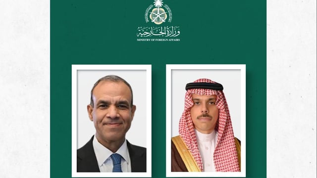 وزير الخارجية يبحث مستجدات الأوضاع في المنطقة مع نظيره المصري