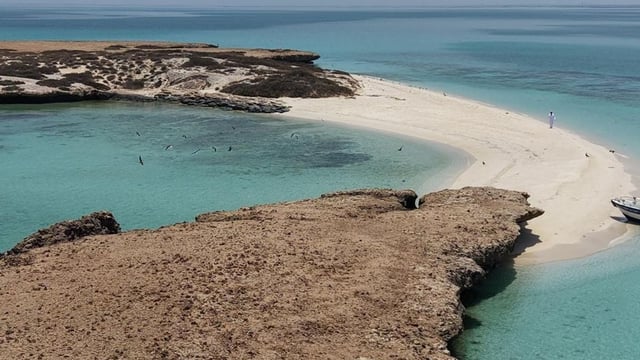 كيف أصبحت جزر فرسان الأولى بثلاثة اعترافات بيئية عالمية؟