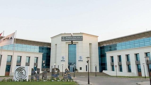 بعد أزمة «تسجيل الخطوط».. إحالة شركات المحمول الـ 4 العاملة في مصر إلى النيابة العامة