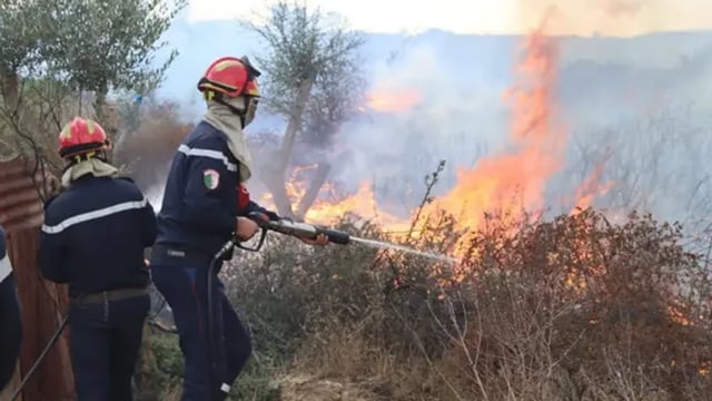 مقتل 12 شخصاً وإصابة 54 آخرين في حرائق غابات بعدة ولايات جزائرية