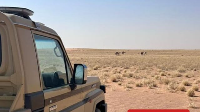 ضبط مواطن لارتكابه مخالفة رعي في محمية الملك عبدالعزيز الملكية