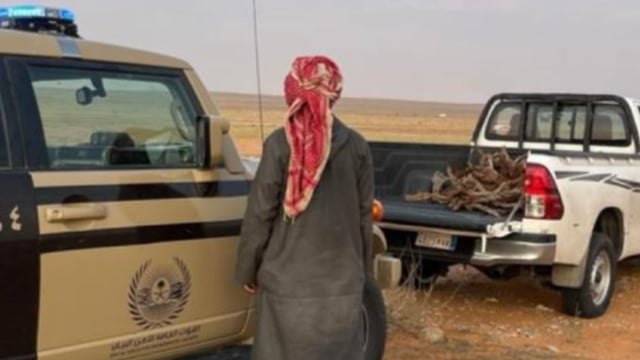 ضبط مواطن لنقله حطبًا محليًا في محمية الإمام تركي بن عبدالله الملكية
