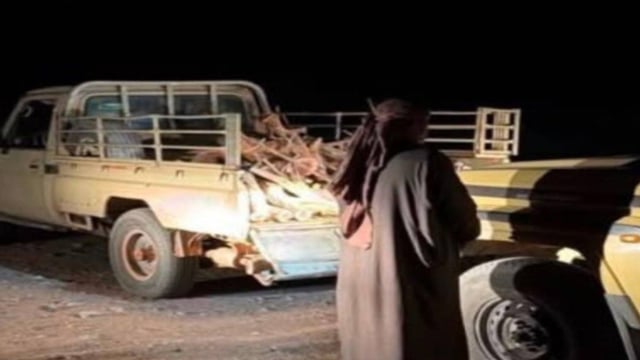 ضبط مواطن لقطعه الأشجار دون ترخيص في محمية الأمير محمد بن سلمان الملكية