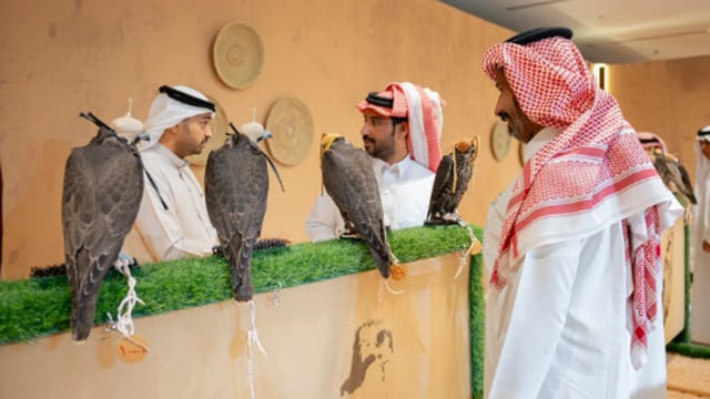 إقبال كبير على زيارة المزاد الدولي لمزارع إنتاج الصقور في إجازة نهاية الأسبوع