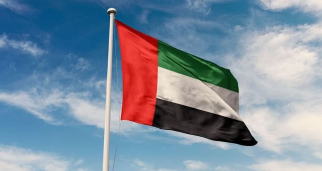 الإمارات.. النائب العام يشكل فريق تحقيق في حادثة طائرة «فلاي دبي» المحوّلة إلى تبوك