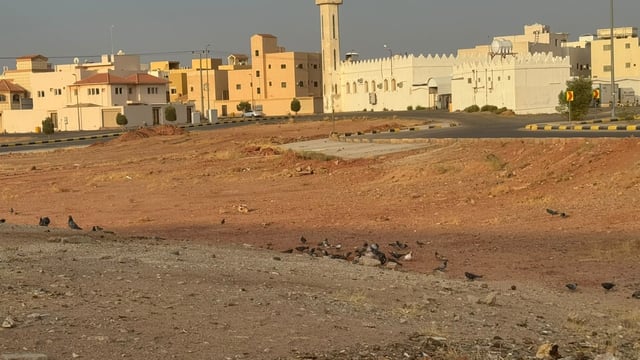 «عاجل» ترصد غياب حاويات «حفظ النعمة» من أحياء البكيرية.. وأمانة القصيم لا ترد