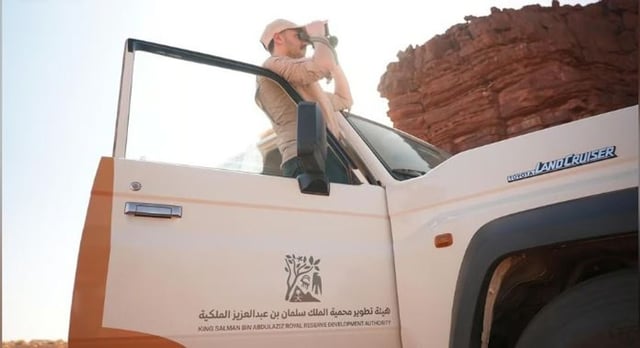 محمية الملك سلمان الملكية تشدّد على منع الصيد بالمناطق التي تقع في نطاقها
