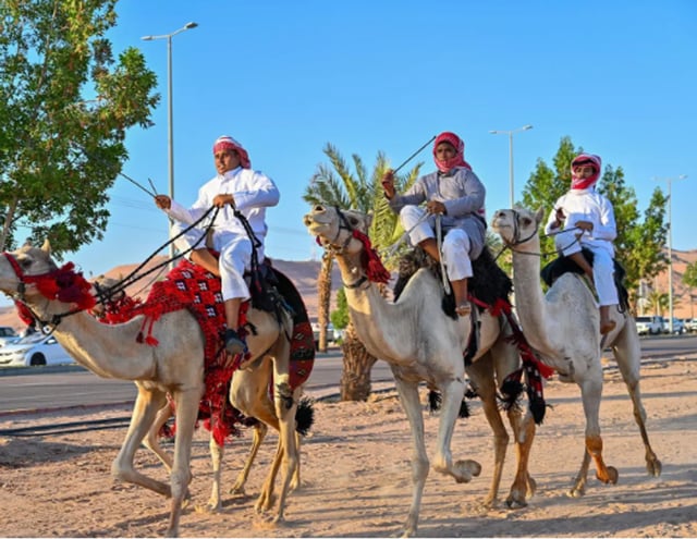 مسيرات الهجن والخيل تجسد فرحة أهالي حقل باليوم الوطني