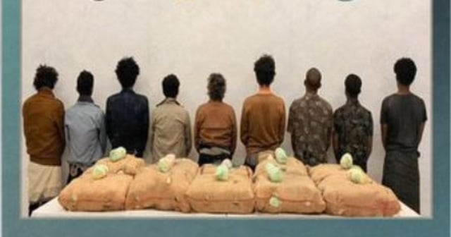 القبض على 9 مخالفين من الجنسيتين اليمنية والإثيوبية لتهريبهم القات بجازان