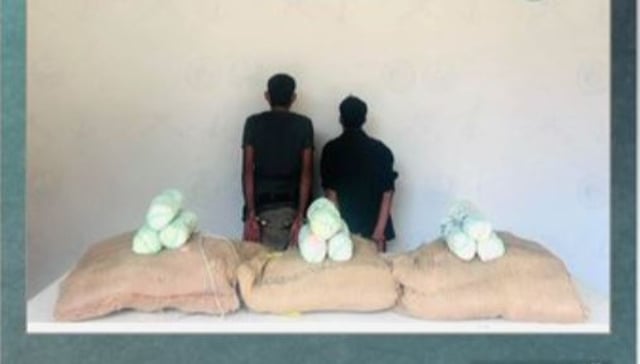 القبض على مخالفين من الجنسية اليمنية لتهريبهما القات بجازان