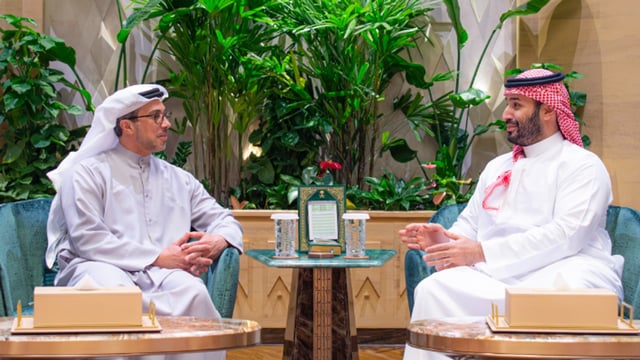 ولي العهد يلتقي منصور بن زايد ويستعرضان العلاقات بين البلدين