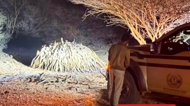 ضبط مقيم يمني لتخزينه حطبًا محليًا في محمية الإمام فيصل بن تركي الملكية