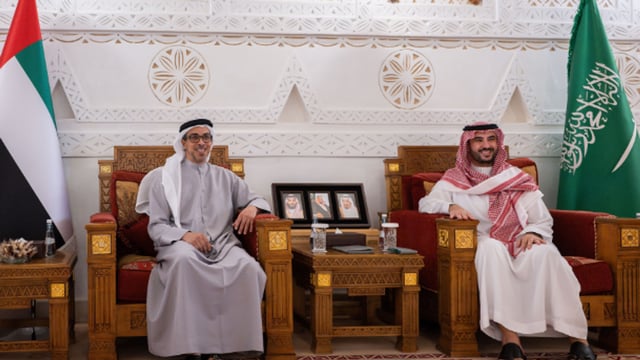 وزير الدفاع ونائب الرئيس الإماراتي يبحثان العلاقات الأخوية في الرياض