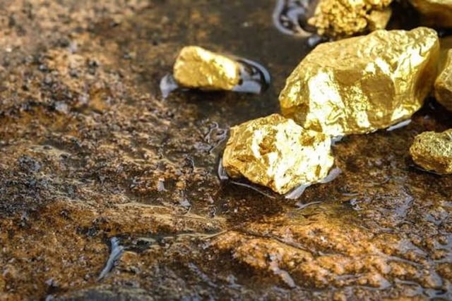 الجيش المصري يواصل حملة مكافحة التنقيب عن الذهب ويحذر من شائعات تستهدف العلاقات مع السودان