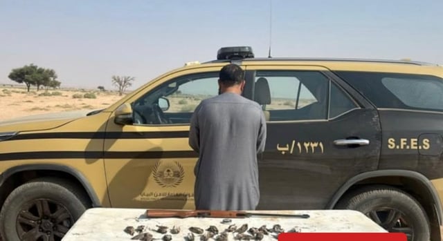 ضبط مواطن لارتكابه مخالفة الصيد دون ترخيص في منطقة حائل