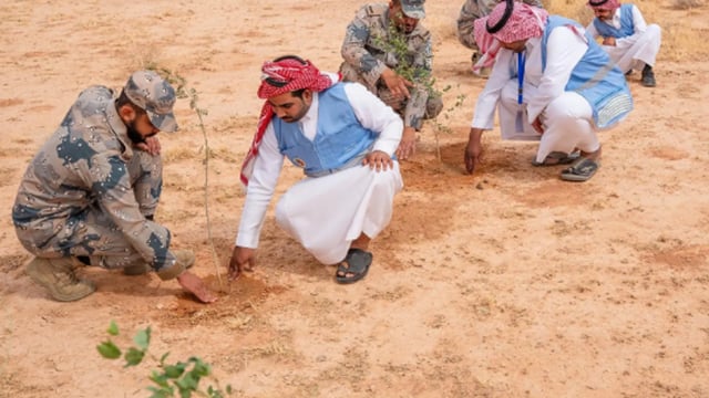 حرس الحدود ينفذ مبادرة "حدود خضراء" بمنطقة الحدود الشمالية
