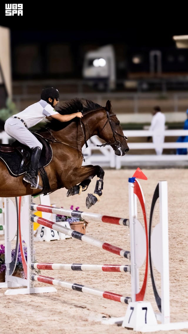 مرابط الخيل في جازان تعزز مهارات الفرسان وتحافظ على إرث الفروسية