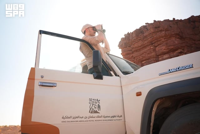 هيئة تطوير محمية الملك سلمان الملكية تحتفي باليوم العالمي للجوالين