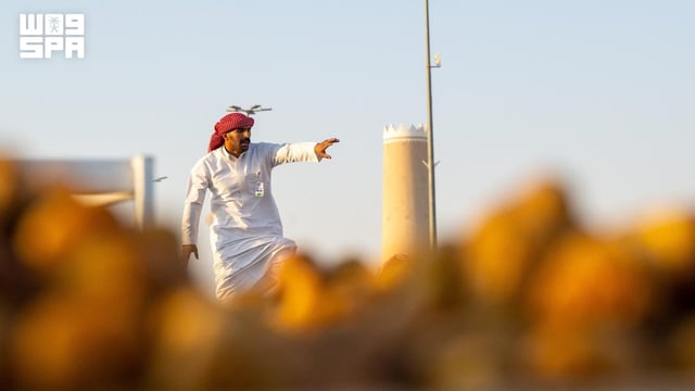 كرنفال بريدة الدولي للتمور يعزز حضور المملكة في الأسواق العالمية
