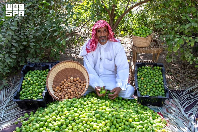 اللومي الحساوي يعزز حضوره بالأسواق المحلية والخليجية بمنتجات متنوعة