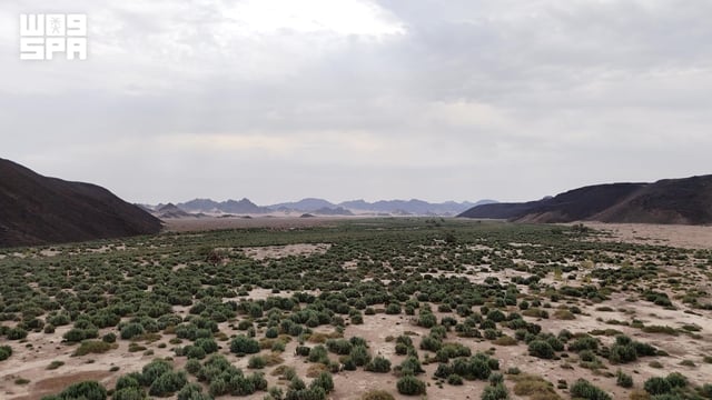 وادي الحمض يربط شمال المدينة المنورة بالبحر الأحمر بطول 400 كيلومتر