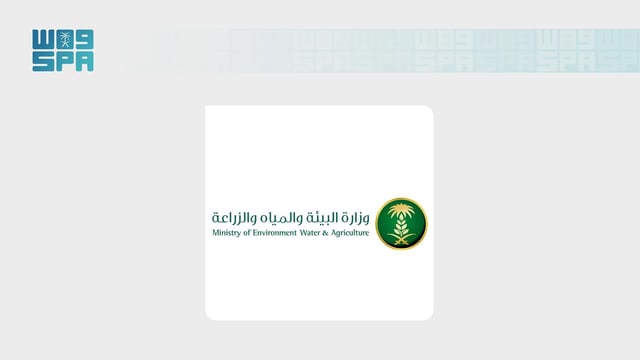 بيئة الحناكية تنفذ أكثر من 15 مبادرة تطوعية بمهرجان الإبل الثالث