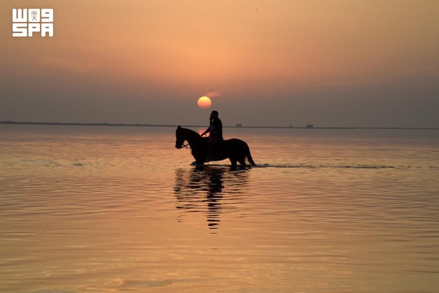 خُطى الخيل ترسم للغروب حكاية على شواطئ