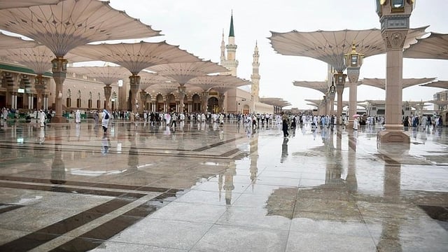 المدينة المنورة تسجل نموًا متسارعًا في زوار المبيت المحليين خلال رمضان وعيد الفطر 
